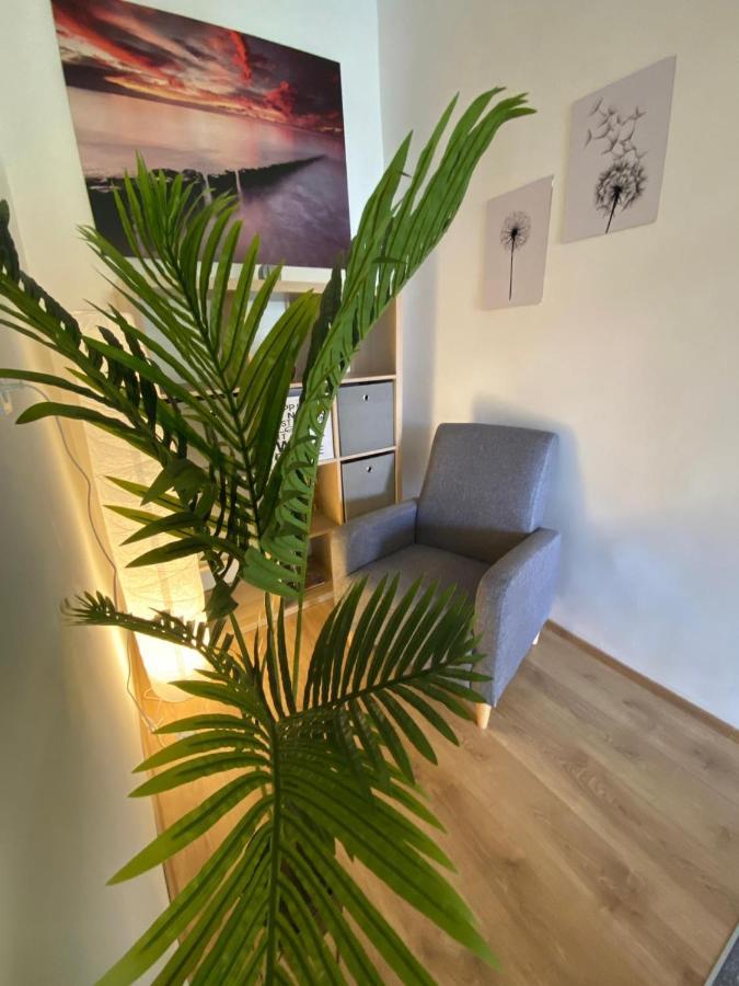 Apartment Dora Zadar Buitenkant foto