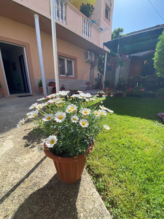 Apartment Dora Zadar Buitenkant foto